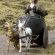 Illustration for article titled 8 Other Witches Wed Rather See In Tim Burtons Maleficent Movie Over Angelina